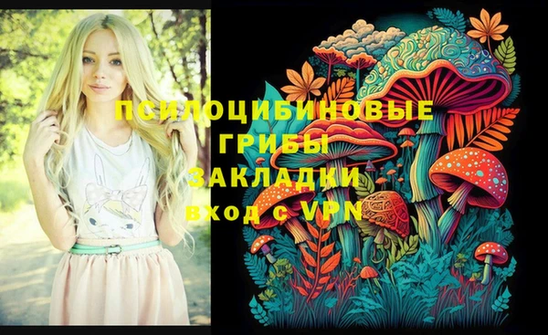 прущие крисы Беломорск